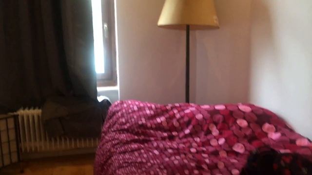 БЕРЛИН | VLOG | День Единства, дешевая еда и достопримечательности Германия смотреть онлайн