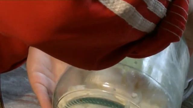 Домашний творог из коровьего молока смотреть онлайн