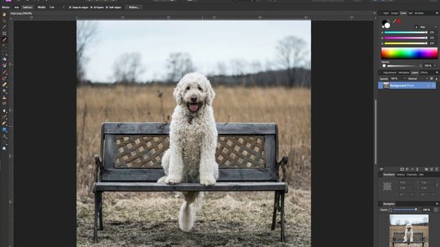 CODE for InPainting w/ Stable Diffusion | Generative AI | Change Persons in a Photo смотреть онлайн