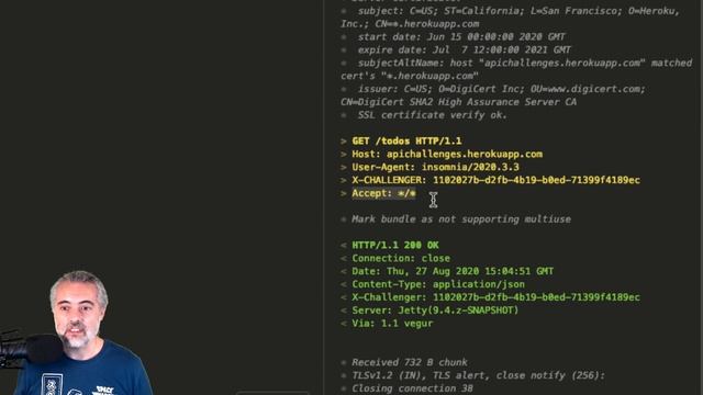API Testing Challenge 16 - How To - GET todos any 200 смотреть онлайн