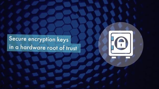 Introducing Luna 7 HSM by Thales смотреть онлайн