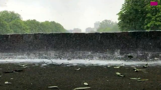 ♫♬ Черная смородина _ Sevenrose _ Новинка 2021 смотреть онлайн