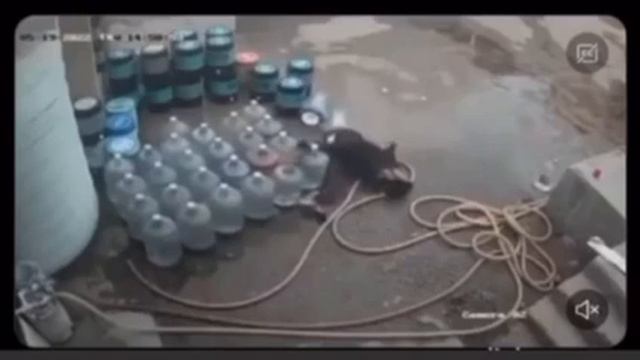 смерть приходит каждому смотреть онлайн