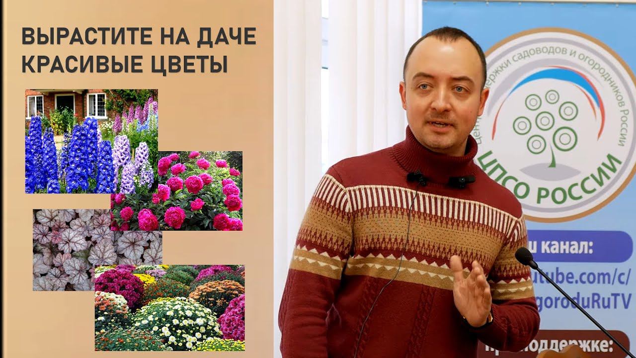 Многолетние цветы. Особенности выращивания. Лекция смотреть онлайн
