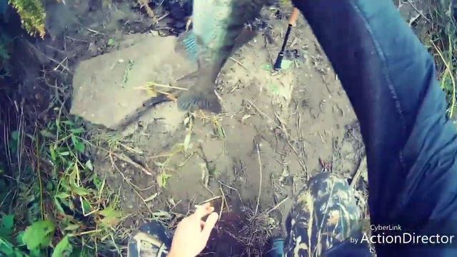 Мультипликаторная катушка kastking spartacus и удилище seakhight falcon: испытание на Исети смотреть онлайн