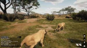 СИМУЛЯТОР ЖИВОТНЫХ Animalia Survival  ДИКИЕ КОШКИ ЛЕВ И ЛЕОПАРД