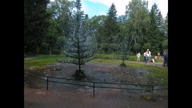 Санкт-Петербург/День 1//Кормлю белочку и уток смотреть онлайн