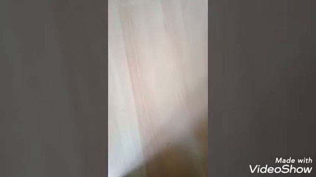 Недо Трум Трум неудача смотреть онлайн