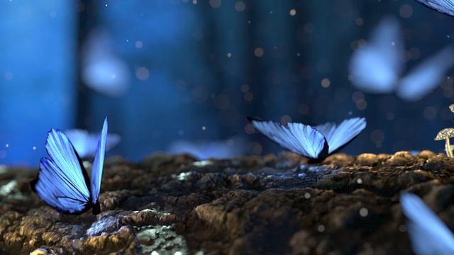 Chill Nature Музыка Чилаут и Эмбиент без авторских прав