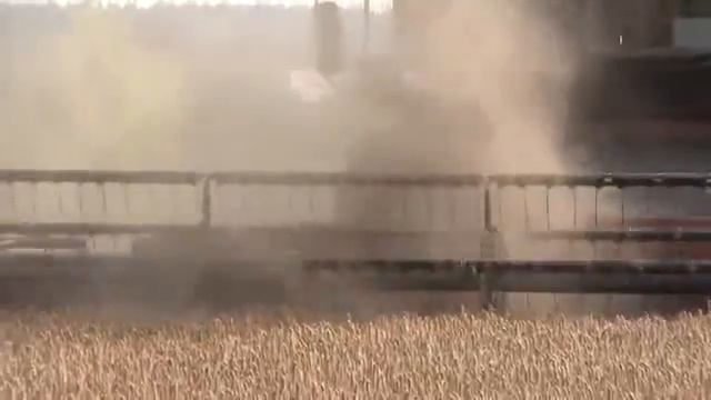 Рабочая поездка Александра Лукашенко в Брестскую область смотреть онлайн