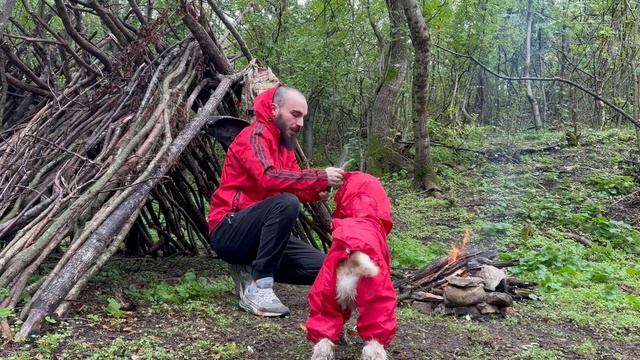 Camping in Rain with My Dog - Mushroom Hunting, Jackals Pack Attack ! смотреть онлайн
