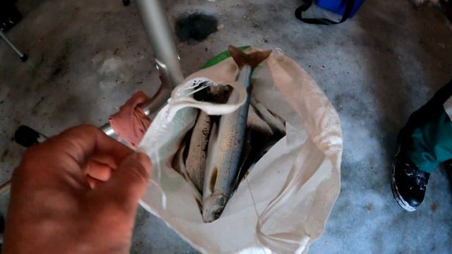 рыбалка в Северобайкальске на Хакусах !!! смотреть онлайн