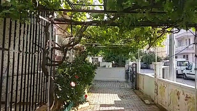 ПРОГУЛКА ПО ДВОРУ 2.05.2020!ПОГОДА СУПЕР!МУШМУЛА ПОСПЕВАЕТ В МОЕМ САДУ смотреть онлайн