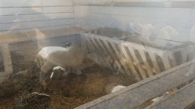На сыроварне смотреть онлайн