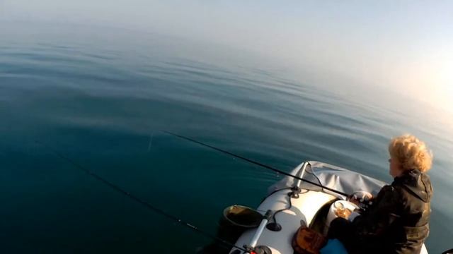 Морской окунь - смарида. Заозерное 27 октября 2019 смотреть онлайн