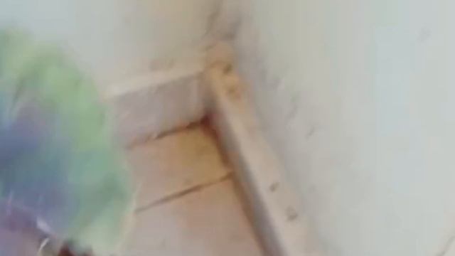 2 подкормки для Герани, запускаем набор зеленой массы и цветение смотреть онлайн