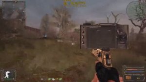 Народная солянка 2016 фото контролера на Янтаре