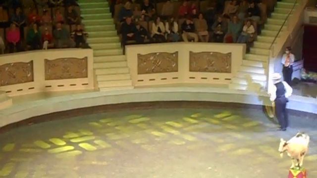 ЦИРК-НТ. ЖИРАФ ШОУ 06.01.2024 - 5 смотреть онлайн