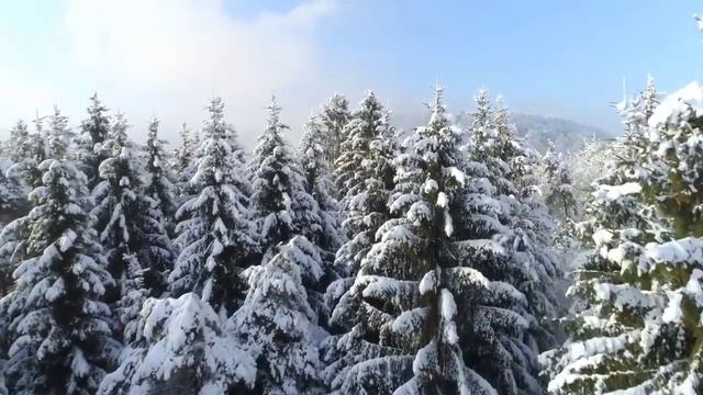 11 февраля денежный день Нельзя это делать Народные Приметы смотреть онлайн