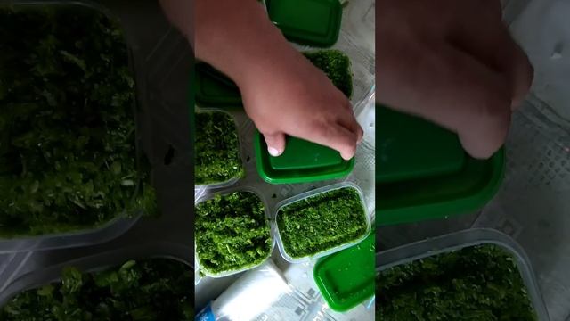 Стрелки чеснока на зиму. ? смотреть онлайн