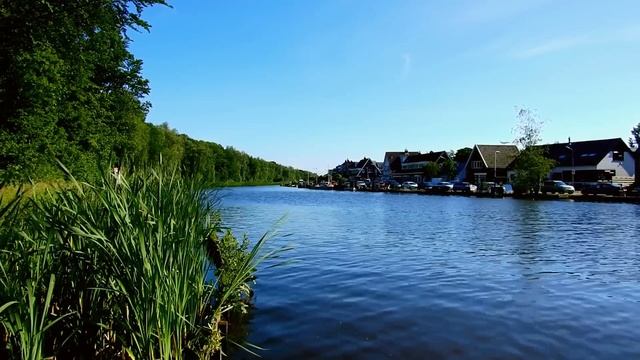 Свекровь вызвала соцопеку на невестку. Теперь сын не хочет общаться с матерью.