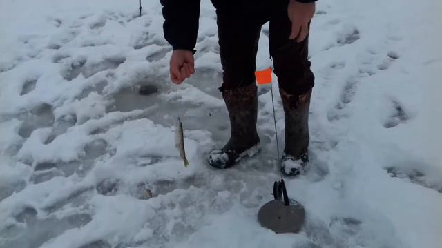 Щука на жерлицы. Зимняя рыбалка смотреть онлайн