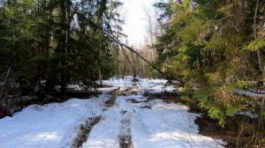 КВАДРОЦИКЛЫ  200 500 600 и 850 кубов  в ЛЕСУ по СНЕГУ