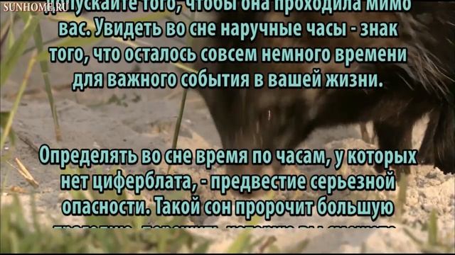 К чему снится Часы сонник, толкование сна смотреть онлайн