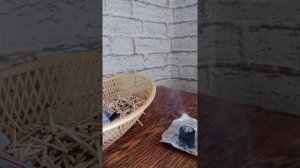 Простой способ/ладан чистим помещение