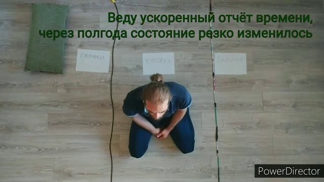 ГУСЕНИЦА, КУКОЛКА, БАБОЧКА / Инициация смотреть онлайн