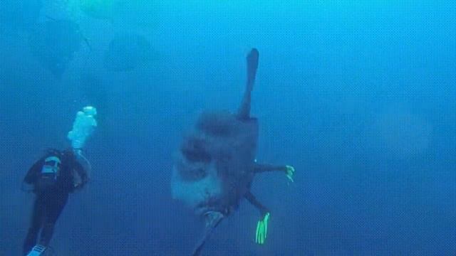 Путешествие с Надеждой Надеждиной.mp4 смотреть онлайн