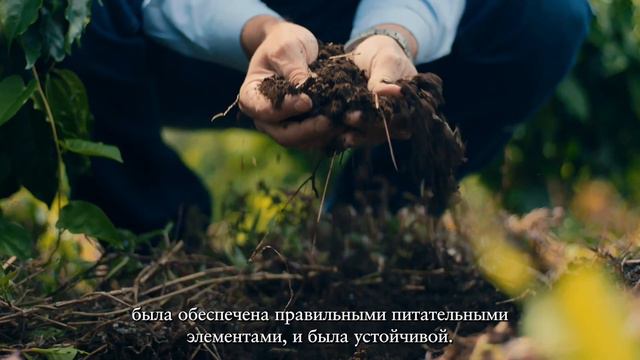 Earth To Table - Yara смотреть онлайн