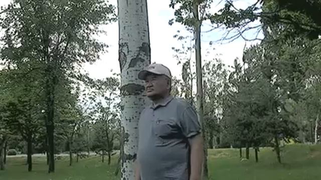 Обону Асанкалый Керимбаев Ошонун баарын мен деп бил.Атк Токтор Бекбоев смотреть онлайн