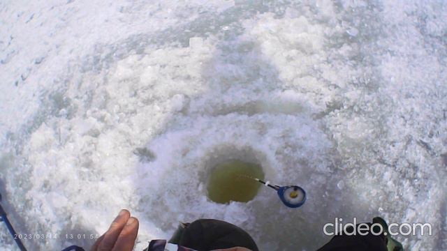 Карп. Лёд. Март. смотреть онлайн