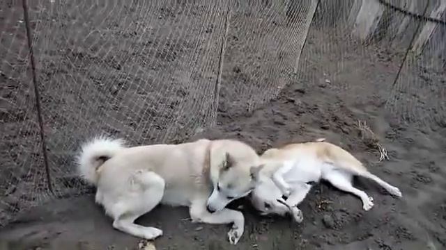 Ждут друга) смотреть онлайн