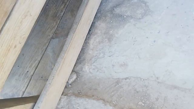 Собаке 35 лет, что соответствует человеческим семи годам. смотреть онлайн