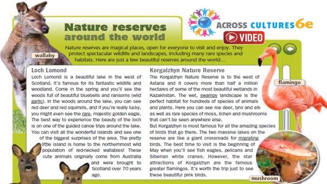 Excel. Grade 8. Lesson 54. Nature Reserves Around The World ?