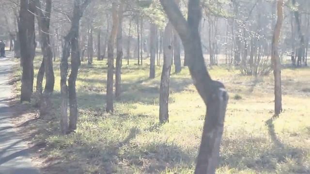 Canon 60D - Гелиос 44-3 Прогулка в парке Апрель 2014 г смотреть онлайн