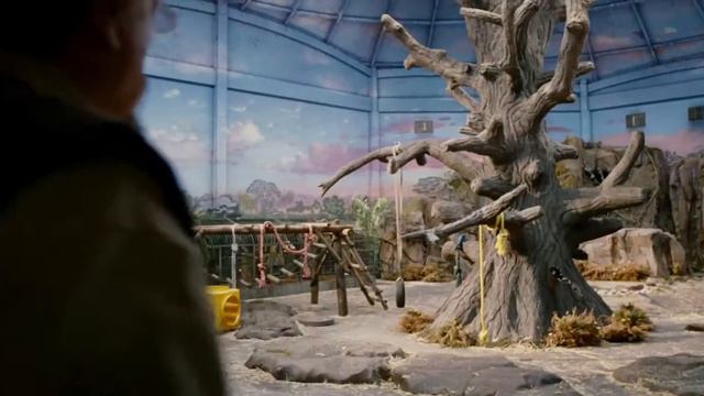 Rise Planet Apes смотреть онлайн