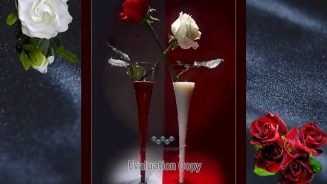 Душевное поздравление для Оли в День рождения смотреть онлайн