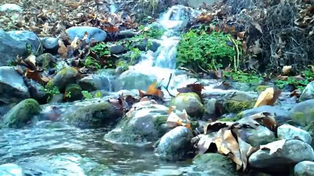 чудо природа удивительная мини водопад смотреть онлайн