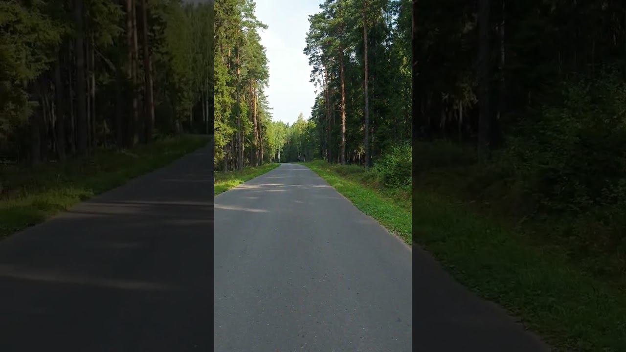 Лето. Коприно смотреть онлайн