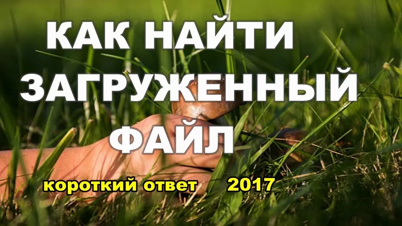 Как найти загруженный файл на компьютере смотреть онлайн