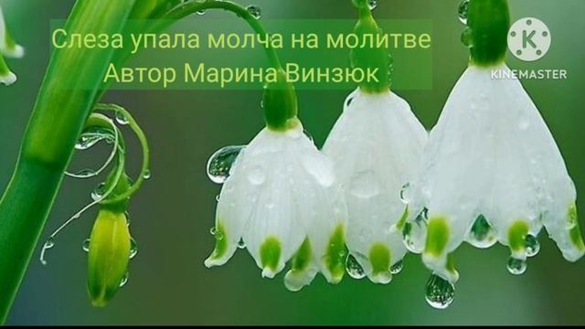 Слеза упала молча на молитве смотреть онлайн