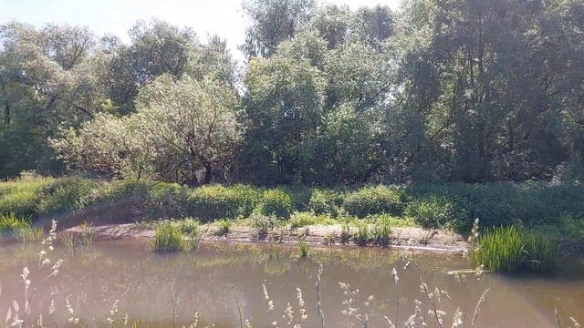 НАСТУПАЕТ ПОКОЙ И УМИРОТВОРЕНИЕ ВЕЛИКИЙ ЛЕКАРЬ С НЕБЕС смотреть онлайн