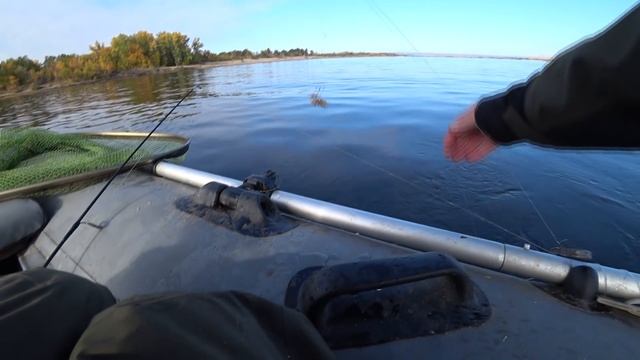 С ЭТОЙ СНАСТЬЮ ВСЕГДА БУДЕТЕ С РЫБОЙ ! Рыбалка осенью в октябре. Ловля на кольцо 2021 смотреть онлайн