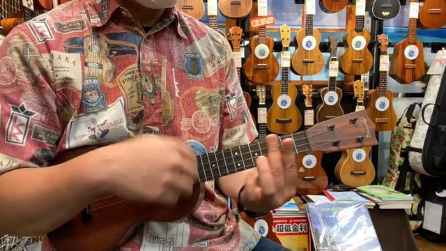 Martin Concert Uke FSC #2493066 【試奏動画】 смотреть онлайн