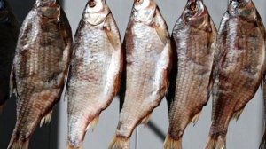 Чем опасна вяленая и сушеная рыба?