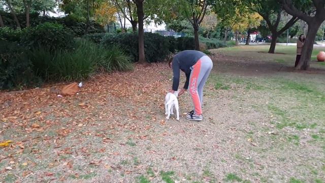 Луна третий раз на улице смотреть онлайн