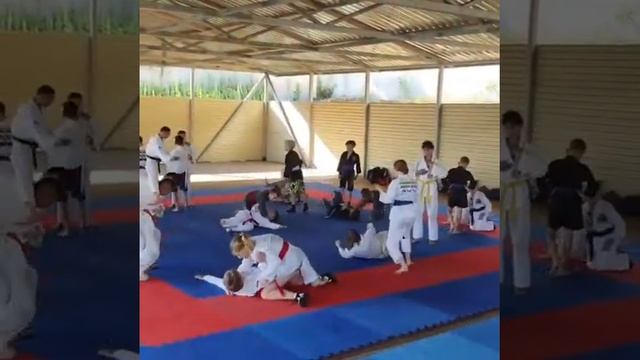 Формирование двигательных навыков в борьбе у спортсменов тренировочного этапа подготовки смотреть онлайн